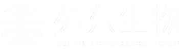 PA视讯